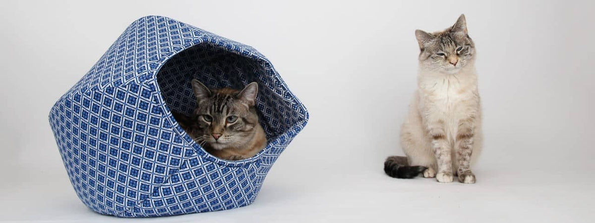 Cat top ball bed